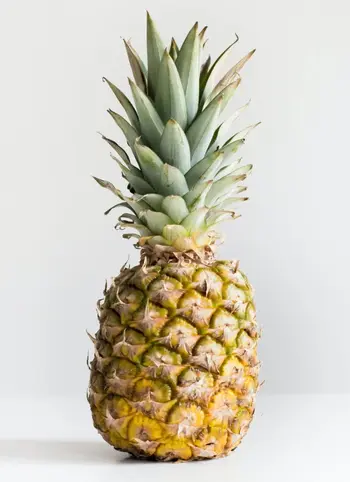 الأناناس المصري