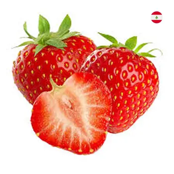 Strawberry Lebanon 500gr