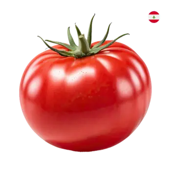 طماطم لبنان 500 جم